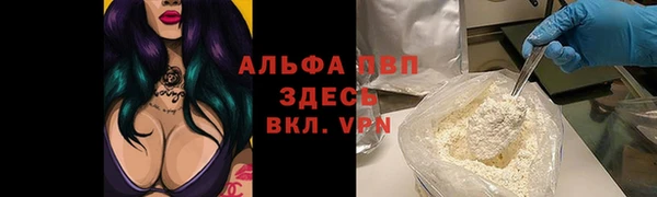 прущий лед Михайлов
