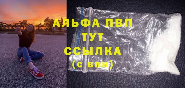 прущие грибы Медвежьегорск
