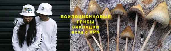 jwh Михайловск