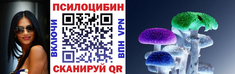 Галлюциногенные грибы Psilocybe  Купить где  Макарьев 